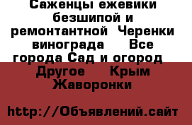 Саженцы ежевики безшипой и ремонтантной. Черенки винограда . - Все города Сад и огород » Другое   . Крым,Жаворонки